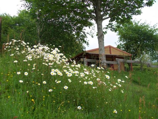 Chalet 4 Jahreszeiten