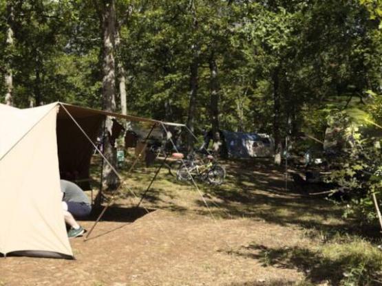 Privilege kampeerplaats  XL 4*