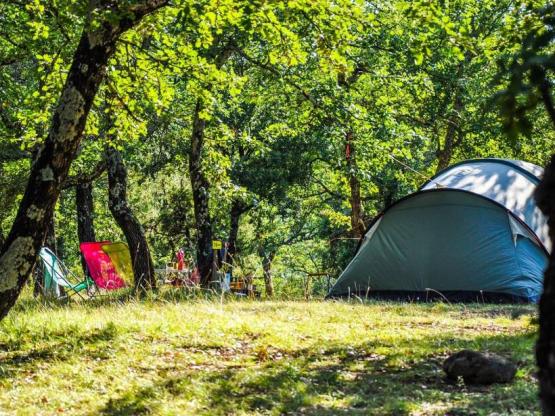 Tent Pitch XXL 150m², without electricity