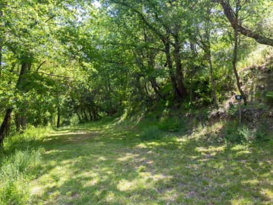 Pauschalplatz 1 Zelt (max. 7x3m) (Preis basiert auf 2 Pers.) Kein Strom, kein Fahrzeug auf dem Platz