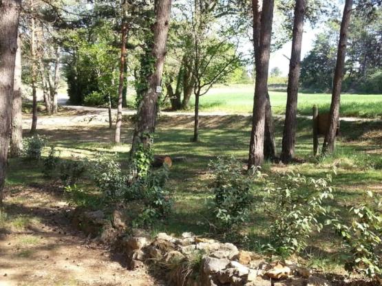 Schattiger Stellplatz 90-100m²