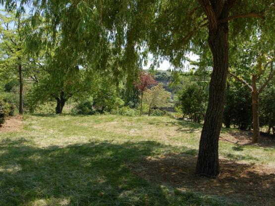 Pauschale Premium Stellplatz Zelt / Wohnwagen, Fahrzeug + 10 A