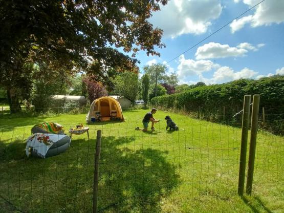 Stellplatz XXL 300m² + dog pens