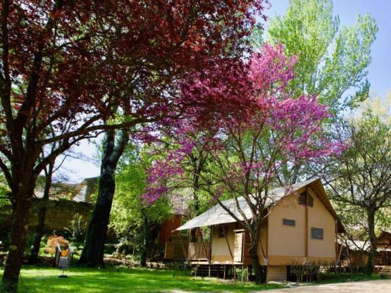 Lodge Prairie 30m² + 15m² - 2 Zimmers - spa- kochen - dushraum