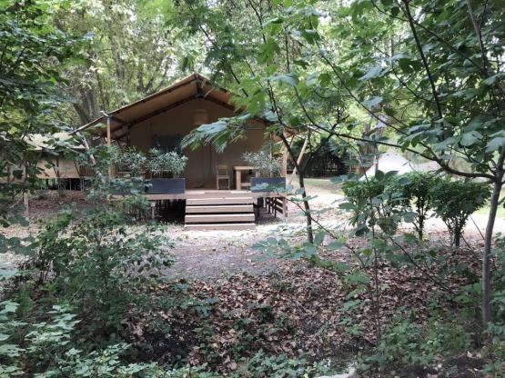 Lodge Chèvrefeuille 34m² - 3 Zimmer - kochen - dushraum