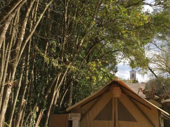 Lodge Central 24m² - 1 Zimmer - kochen - dushraum