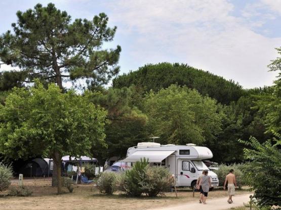 Stellplatz Confort+ (Zelt, Wohnwagen, Wohnmobil / 1 Auto / Strom 10A)