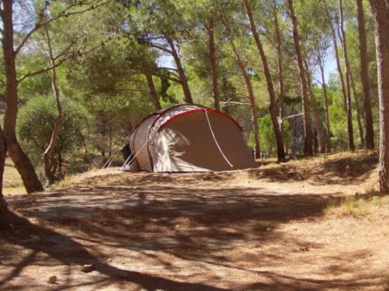 Stellplatz (Zelt, 2 Personen, 1 Auto)