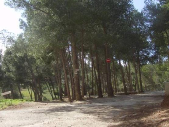 Stellplatz (Wohnwagen, Wohnmobil / 1 Auto)