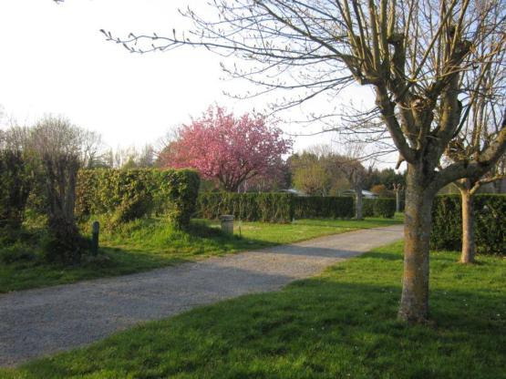 Stellpaz mit wagen  - 100m² - strom