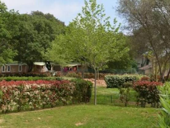 Stellplatz Confort + Fahrzeug  Strom 10A