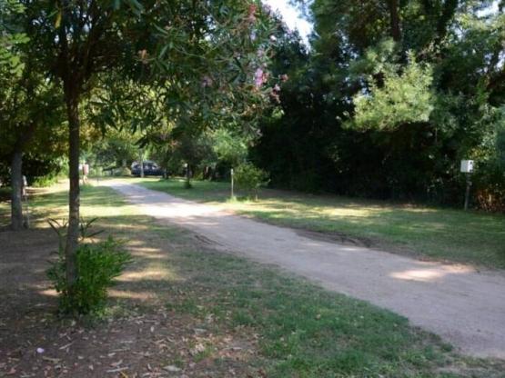 Stellplatz Confort (Zelt, Wohnwagen, Wohnmobil / 1 Auto / Strom 10A uns)+wasserverbindung