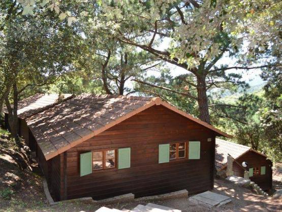 Chalet CLASSIQUE PLUS - 2 Zimmer. 14 chalets (B01 à B14)