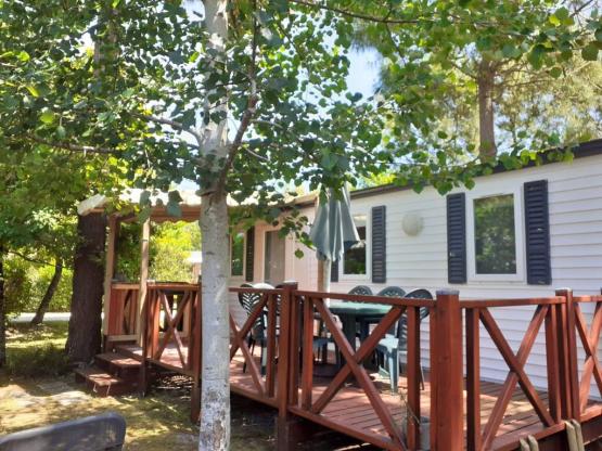 PHOTINIA - 29 m² - 3 Zimmer mit halbüberdachte Terrasse und Klimaanlage - N°10