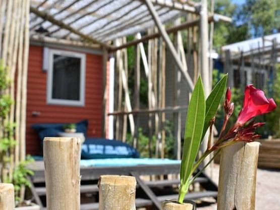 Mobilheim TOI & MOI 18m² - TRENDY RANGE