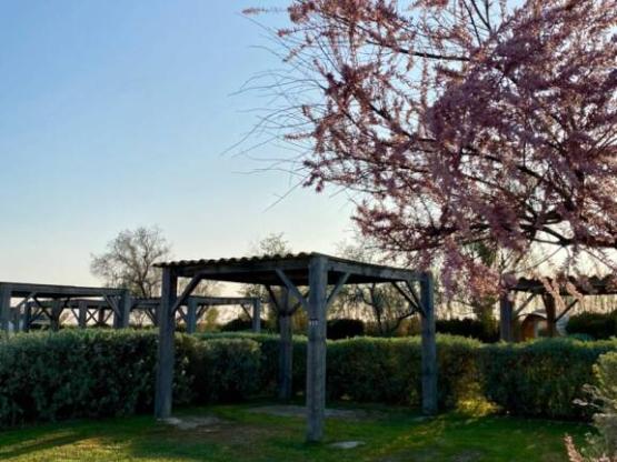 Stellplatz mit Laube