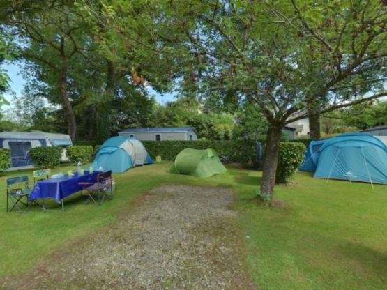 Stellplatz (Zelt, Wohnwagen, Wohnmobil / 1 Auto)