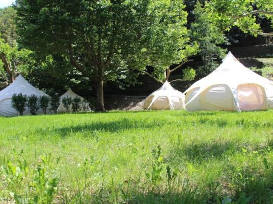 Stellplatz (Zelt, Wohnwagen, Wohnmobil / 1 Auto + strom)