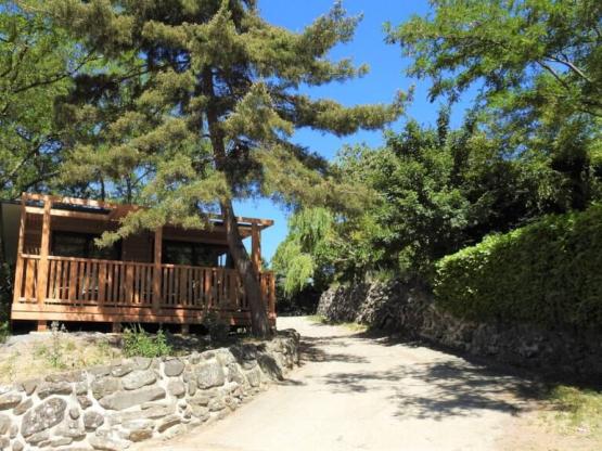 Chalet LAURIER komfortabel fûr grosse Familien