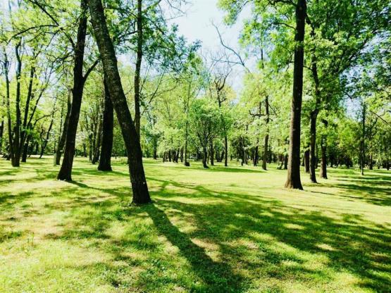 Stellplatz (Zelt / 1 Auto)