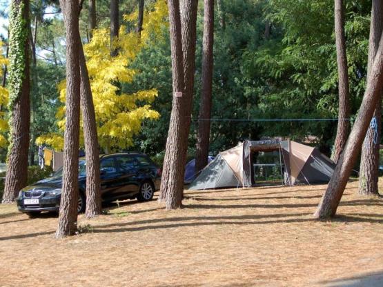 Stellplatz Komfort + Strom  10A