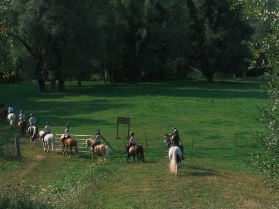 Reitkurs (10–19 Jahre) – ganze Woche