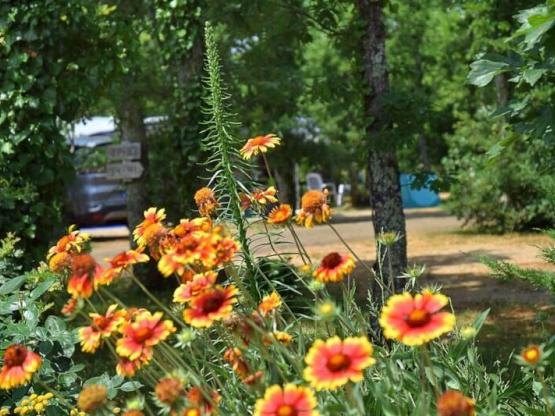 Stellplatz mit Strom 10A