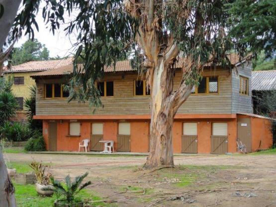 Ferienhaus 3 zimmer 50m²