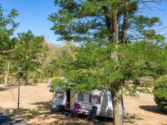 Komfortpaket, mit Strom