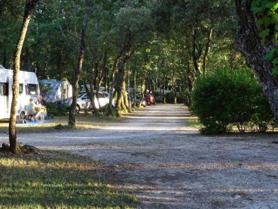 Stellplatz Komfort (Zelt, Wohnwagen, Wohnmobil / 1 Auto / Strom 10A)