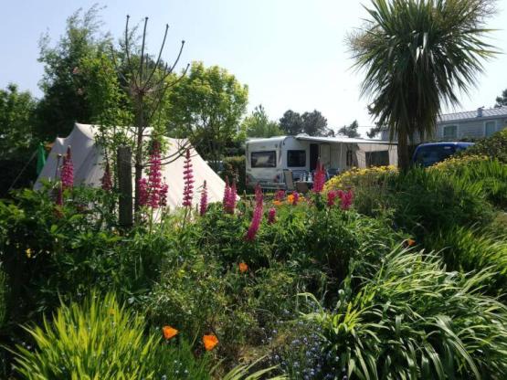 Kahler Van-/Van-Stellplatz (max. 7 m), Zelt MIT Strom