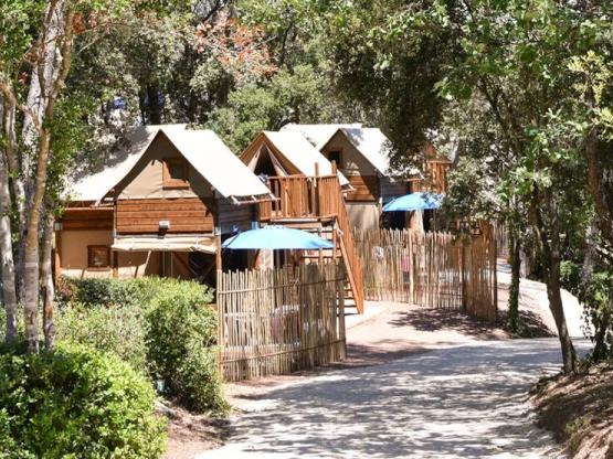 MAXI BAUMHAUS - 30m² - Außergewöhnliche Unterkunft