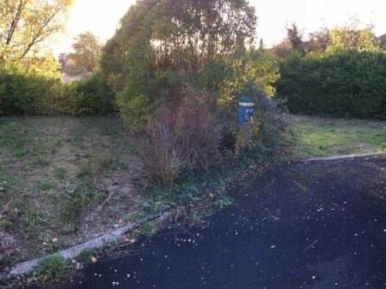 Stellplatz (Zelt, Wohnwagen, Wohnmobil / 1 Auto + strom)