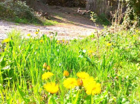 Hütte 5 à 7 personnes - 2 Zimmer