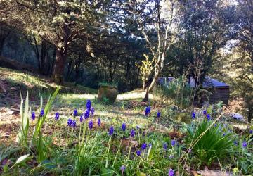 Camping La Corconne