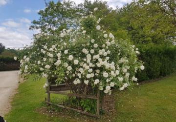 LE DOMAINE DE PECANY (La Noix de Pecan'y)