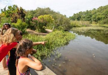 Siblu - Mimizan Le Lac