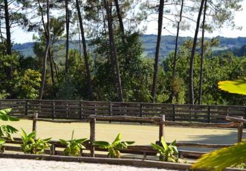 Domaine des Grands Pins