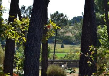 Domaine des Grands Pins