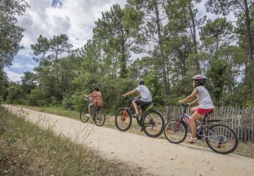 Camping L'Orée du Bois