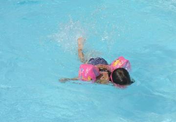 Camping L'Orée du Bois