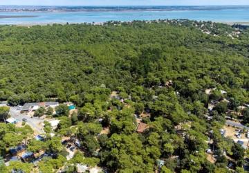 Flower Camping Monplaisir