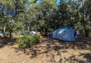 Flower Camping Monplaisir