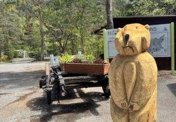 Camping Le Haut Verdon
