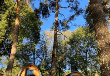 Camping Sérendipité 