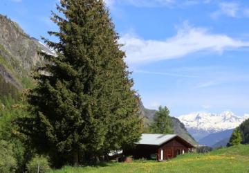 Camping Onlycamp de Tignes