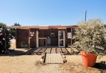 Orris Camp