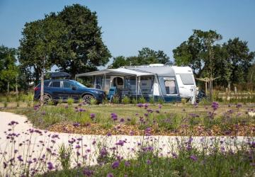 YELLOH! VILLAGE - LE PIN PARASOL*****