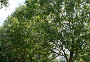 Huttopia La Plage Blanche