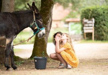 Camping Le Pech Charmant